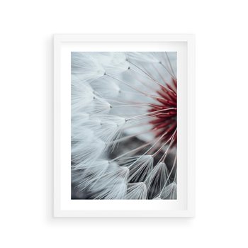 Plakat w ramie 40x50 - Makro Magii Natury - dmuchawiec, zbliżenie makro - rama biała