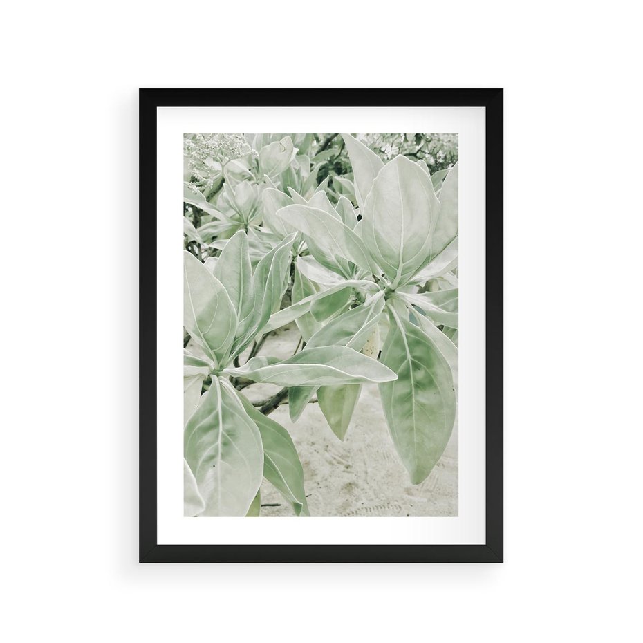 Plakat w ramie 30x40 - Jasnozielone Liście w Kompozycji - liście, jasna zieleń - rama czarna