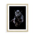Plakat w ramie 50x70 - Czarna pantera: majestat i siła - czarna, pantera - rama drewno