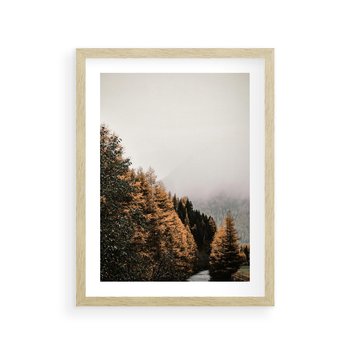 Plakat w ramie 50x70 - Kolorowa Jesień w Górskim Lesie - las, jesień - rama drewno