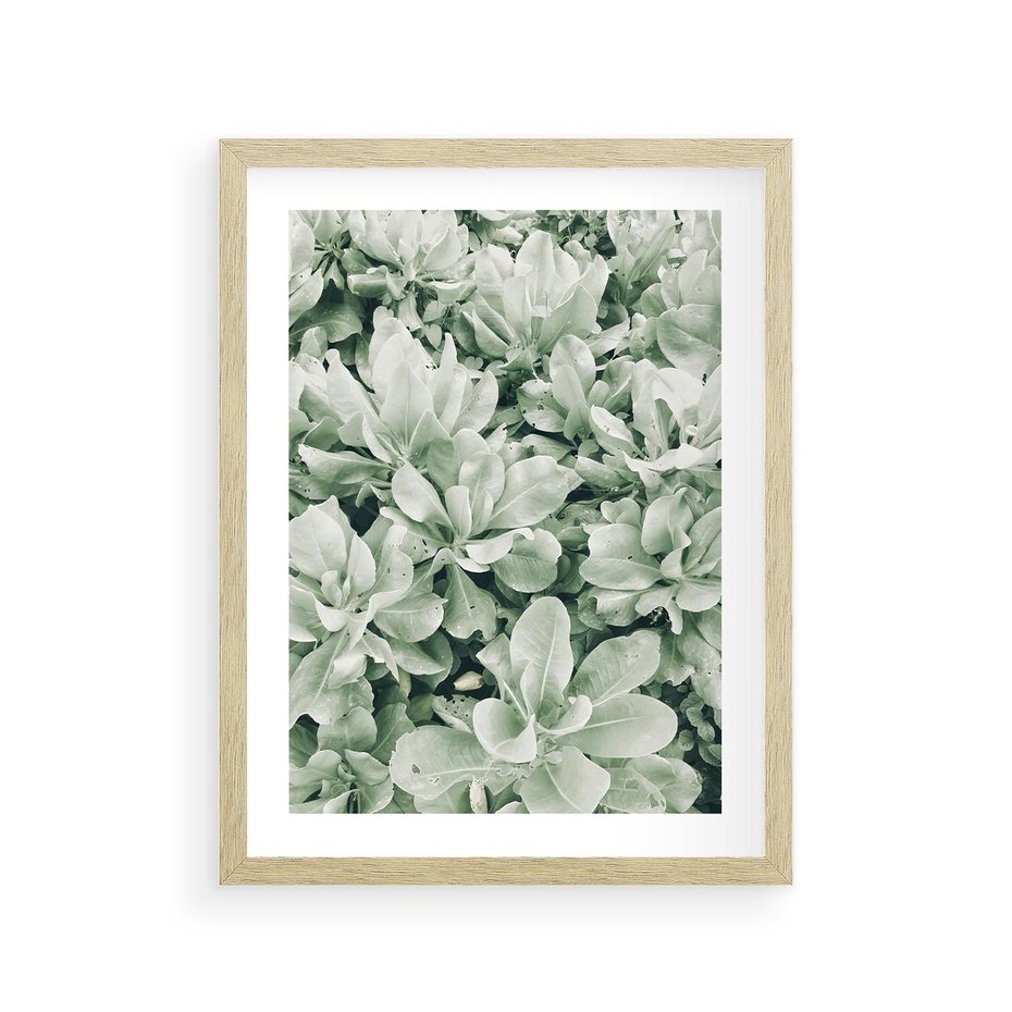 Plakat w ramie 30x40 - Liście w Jasnych Odcieniach Zielonego - liście, jasna zieleń fotografia - rama drewno