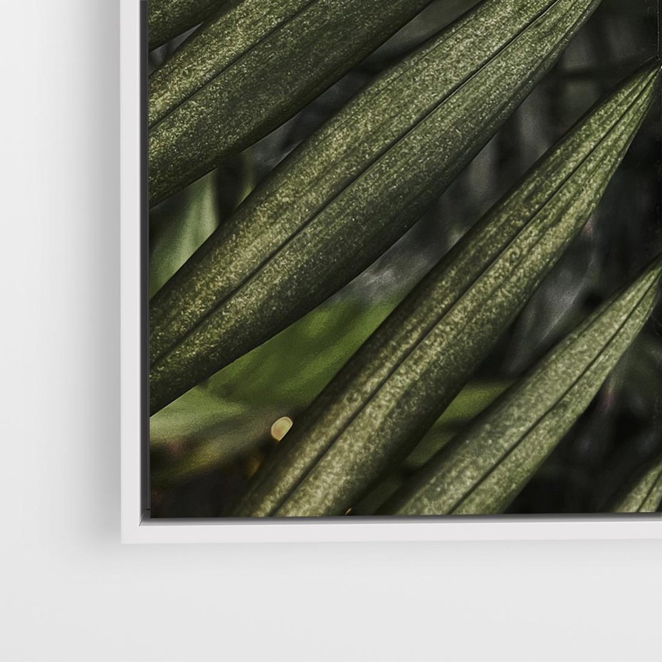 Obraz w ramie 50x50 - W Liściach Ukryte - zdjęcie, fotografia - rama biała