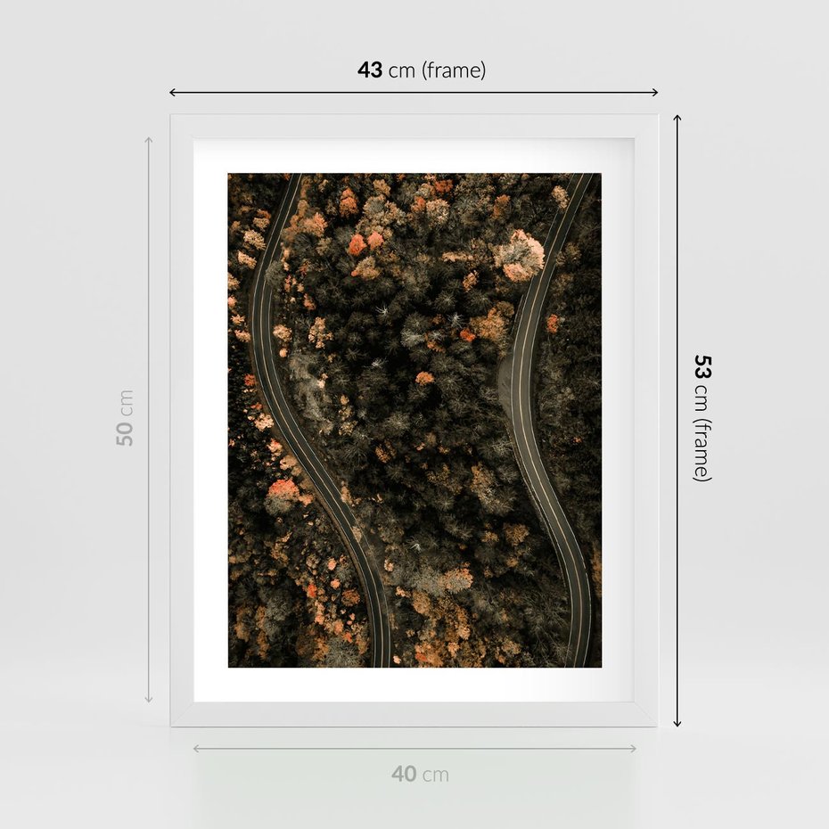 Plakat w ramie 40x50 - Las i Droga w Kolorach Jesieni - droga, ujęcie z góry - rama biała