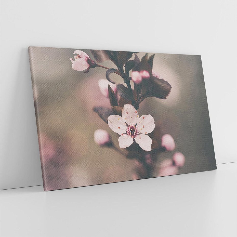 Obraz na płótnie 70x50 - Przemijający Urok - kwitnąca, wiśnia