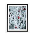 Plakat w ramie 50x70 - Zima na Gałęziach - zima, oszronione gałęzie - rama czarna