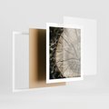 Plakat w ramie 40x50 - Wnętrze Natury - pień, przecięty pień - rama biała