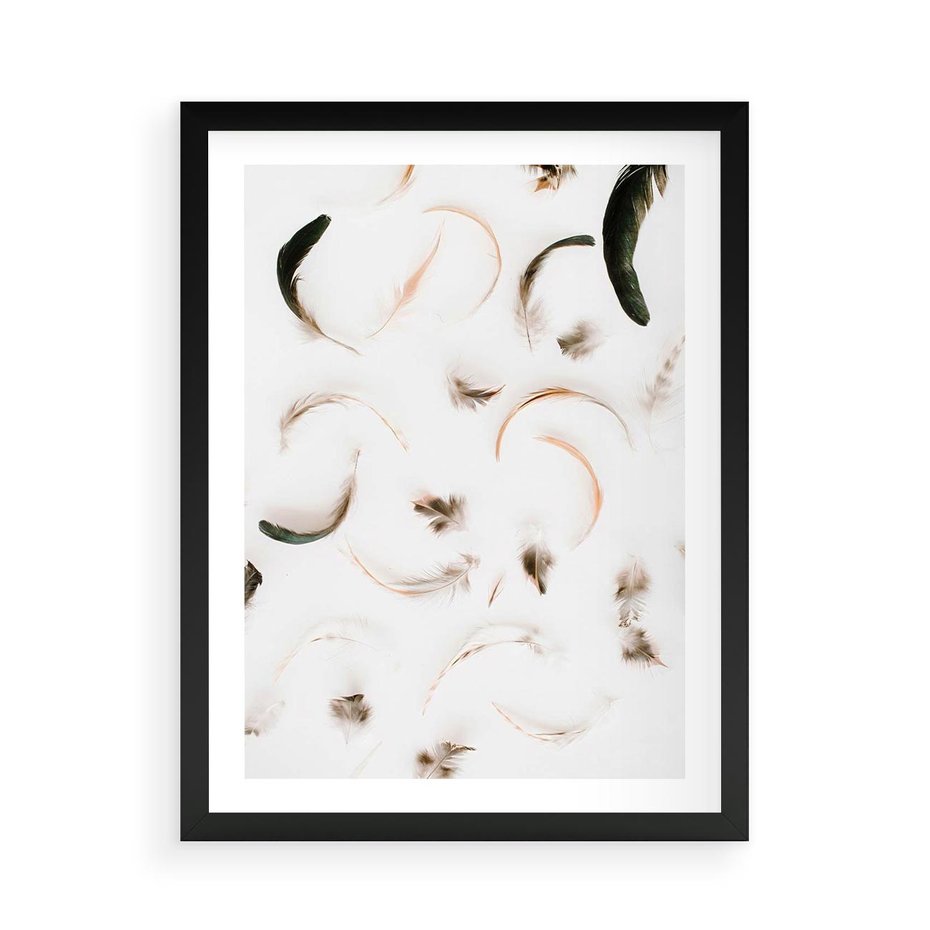 Plakat w ramie 50x70 - Kompozycja z Piór - pióra, kompozycja - rama czarna