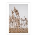 Plakat bez ramy 30x40 - Boho Urok - trawy, pampas