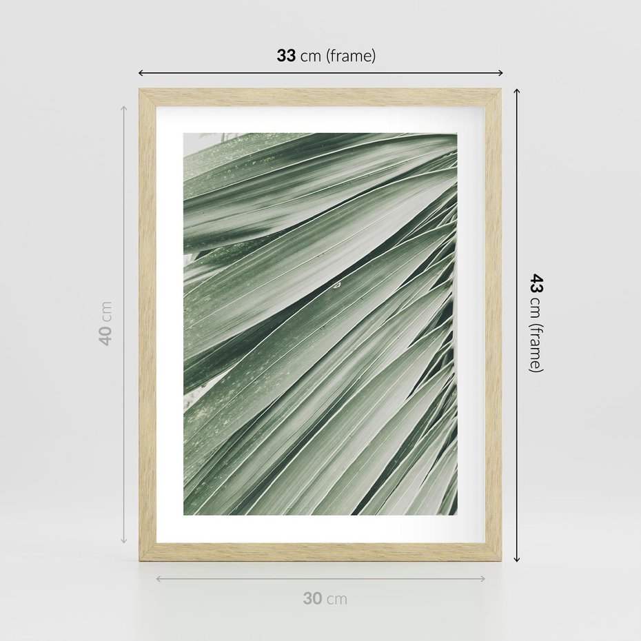 Plakat w ramie 30x40 - Tropikalna Oaza - zielony liść palmy, zieleń - rama drewno