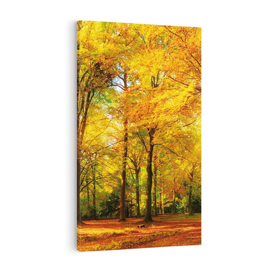 Obraz na płótnie 50x70 - Urok jesiennego lasu - las, drzewa