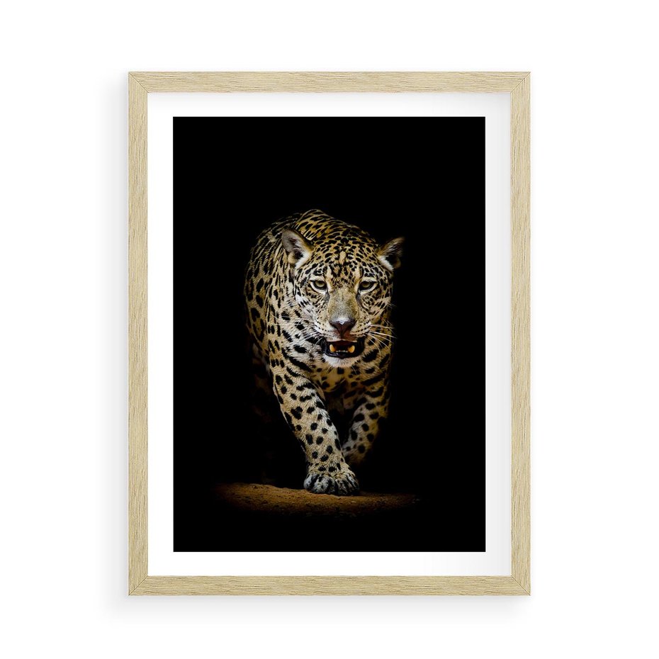 Plakat w ramie 50x70 - Elegancja lamparta - lampart, pantera - rama drewno