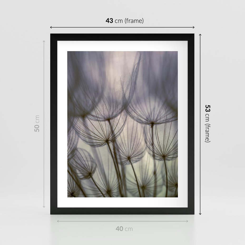 Plakat w ramie 40x50 - Makro dmuchawiec - piękno drobnych detali - dmuchawce, makro - rama czarna