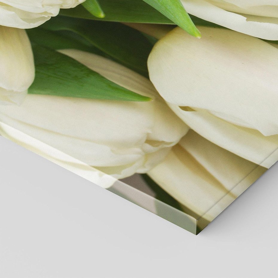 Obraz na płótnie 120x80 - Białe tulipany w pełnym rozkwicie - białe, tulipany