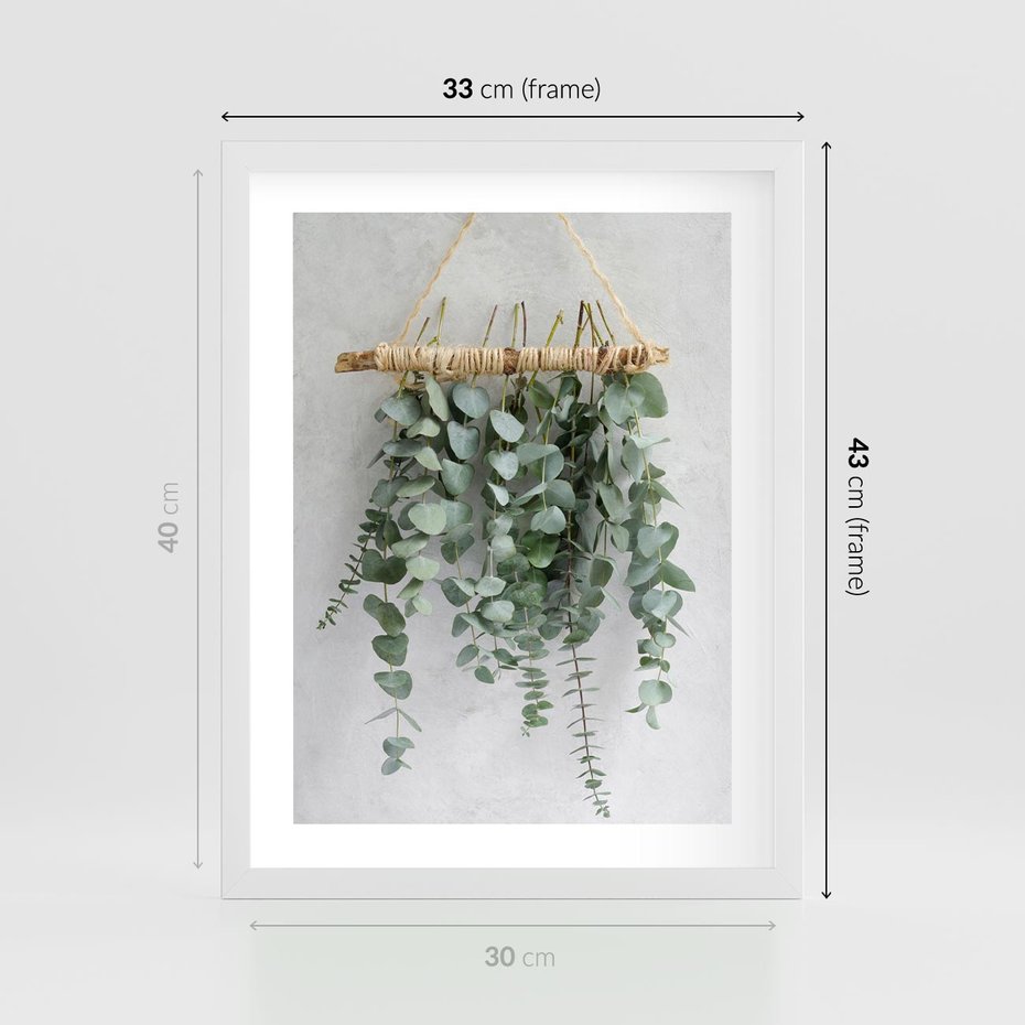 Plakat w ramie 30x40 - Uwodzicielska zieleń eukaliptusa - eukaliptus, zielone - rama biała