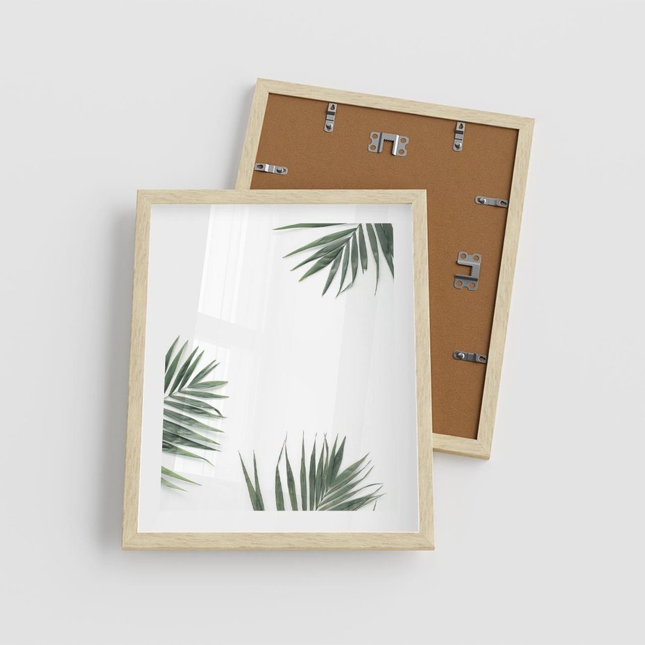 Plakat w ramie 40x50 - Liście Palmy na Czystym Tle - liście palmy, białe tło - rama drewno