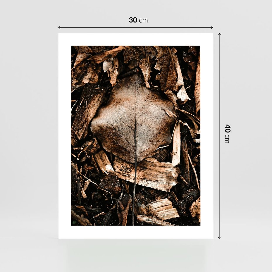Plakat bez ramy 30x40 - Samotny Liść - liść, brąz