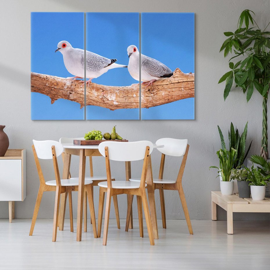 Obraz na płótnie 120x80 - Gołębie w locie - gołębie, gołąb