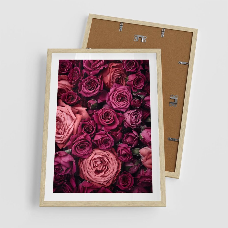 Plakat w ramie 50x70 - Róże - piękno kwiatów - róże, kwiaty - rama drewno