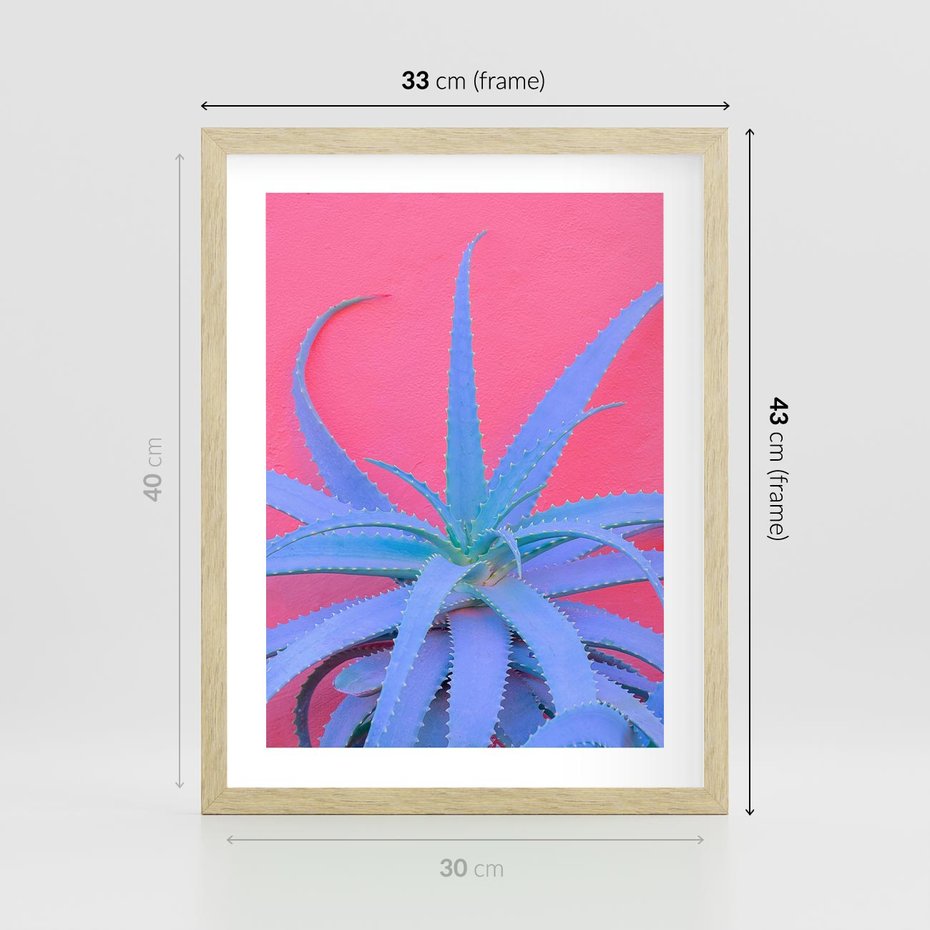 Plakat w ramie 30x40 - Piękno Pustyni - kaktusy, liście - rama drewno