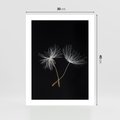 Plakat bez ramy 30x40 - Delikatność Wiatru - dmuchawce, makro