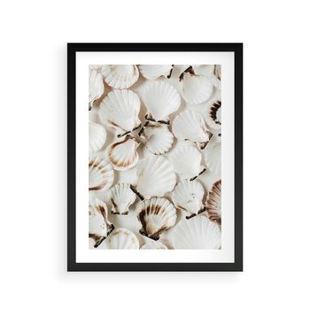 Plakat w ramie 30x40 - Białe Muszle - białe muszle, ujęcie z góry - rama czarna