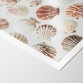 Plakat bez ramy 40x50 - Morska Delikatność: Muszelki na Białym Tle - kompozycja, morskie muszelki na białym tle