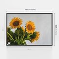 Obraz w ramie 70x50 - Słoneczna Radość - fotografia, żółte słoneczniki - rama czarna