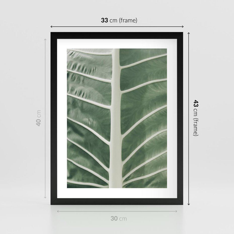 Plakat w ramie 30x40 - Zielone Wielkości: Zbliżenie Liścia - zbliżenie duz liść, jasna zieleń - rama czarna