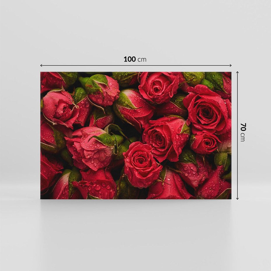 Obraz na płótnie 100x70 - Piękno róż: delikatność natury - róże, kwiaty