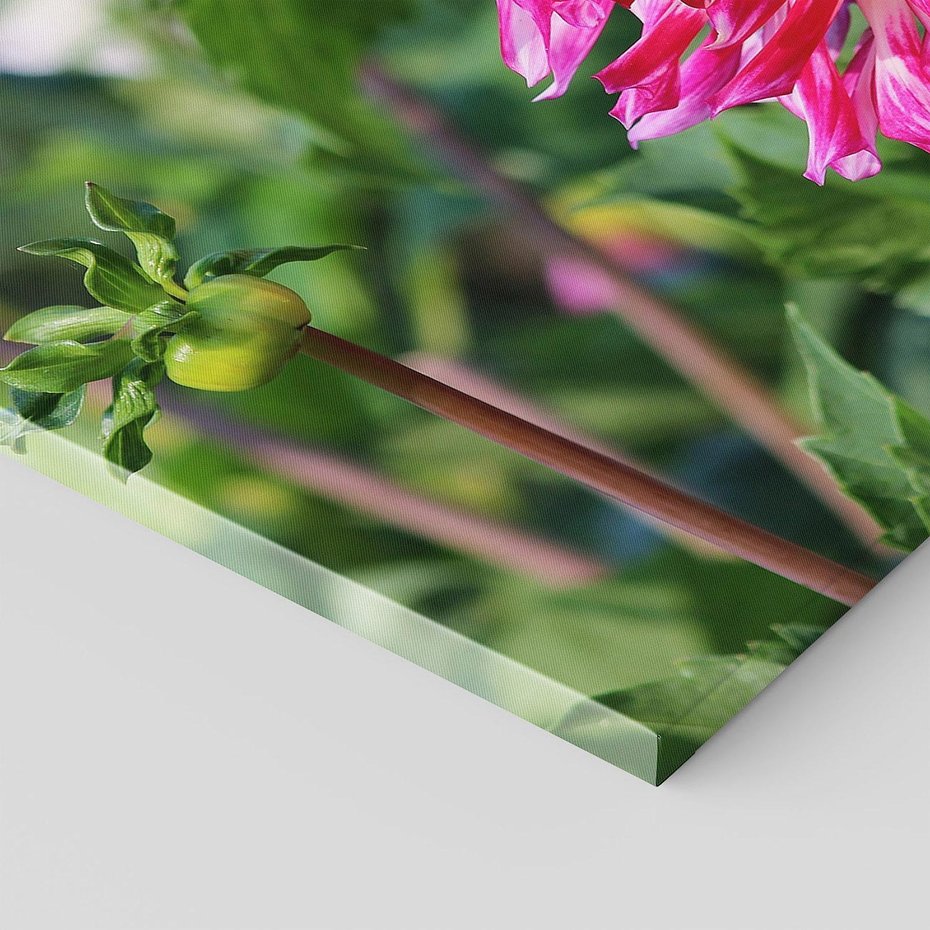 Obraz na płótnie 120x80 - Kwiatowe impresje natury - kwiat, kwiaty