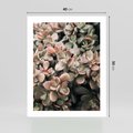 Plakat bez ramy 40x50 - Sukulentowa Prostota - sukulenty, zielone liście