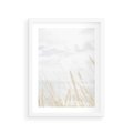 Plakat w ramie 30x40 - Jasna Delikatność: Fotografia Suchych Traw - suche trawy, jasna fotografia - rama biała