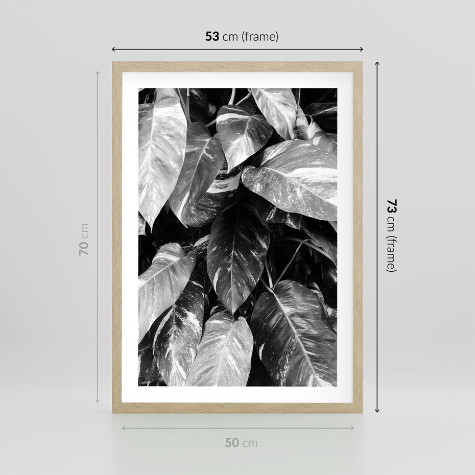 Plakat w ramie 50x70 - Liście w Czarno-Białej Fotografii - liście, roślina - rama drewno
