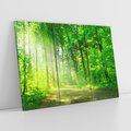 Obraz na płótnie 120x80 - Urok lasu na drodze - las, drzewa