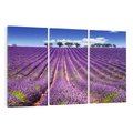 Obraz na płótnie 120x80 - pola wonnych kwiatów - lawenda, kwiaty
