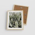 Plakat w ramie 40x50 - Kaktusowa Harmonia - kaktusy, fotografia - rama drewno
