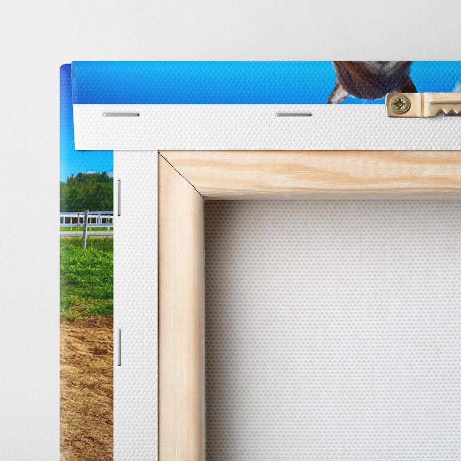 Obraz na płótnie 100x70 - Konie - siła natury - koń, konik