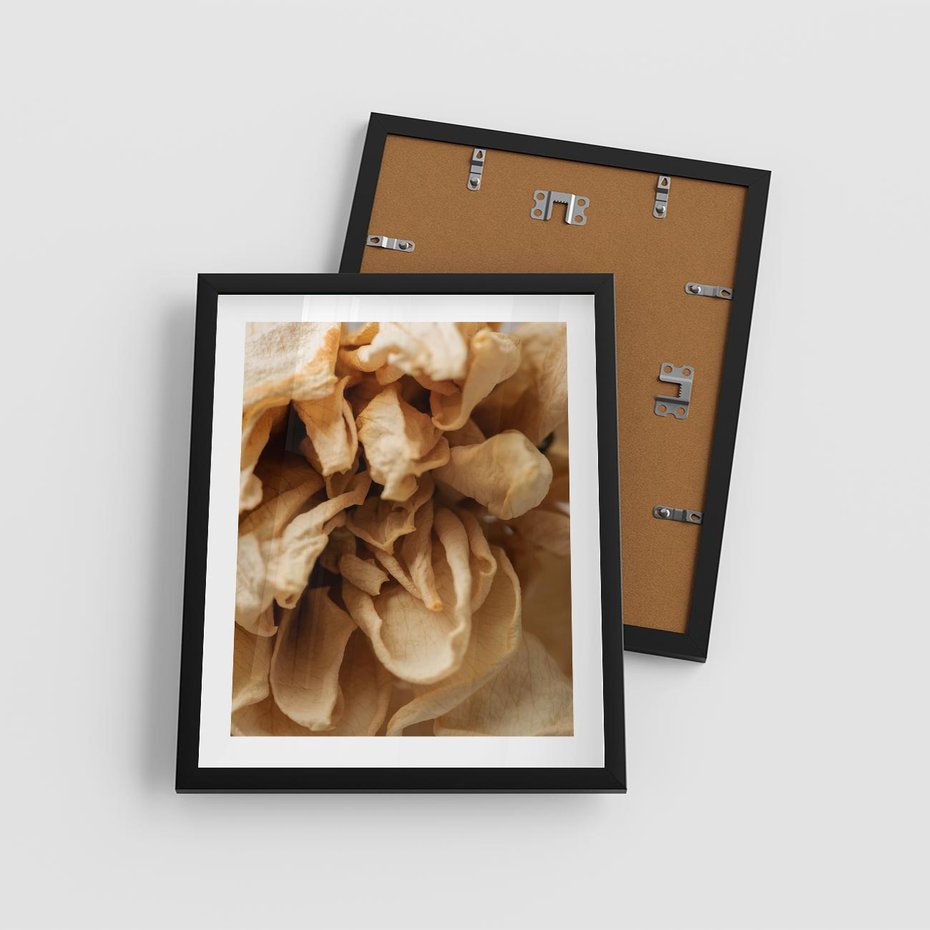 Plakat w ramie 40x50 - Zjawiskowe zasuszone kwiaty - zasuszone, kwiaty - rama czarna