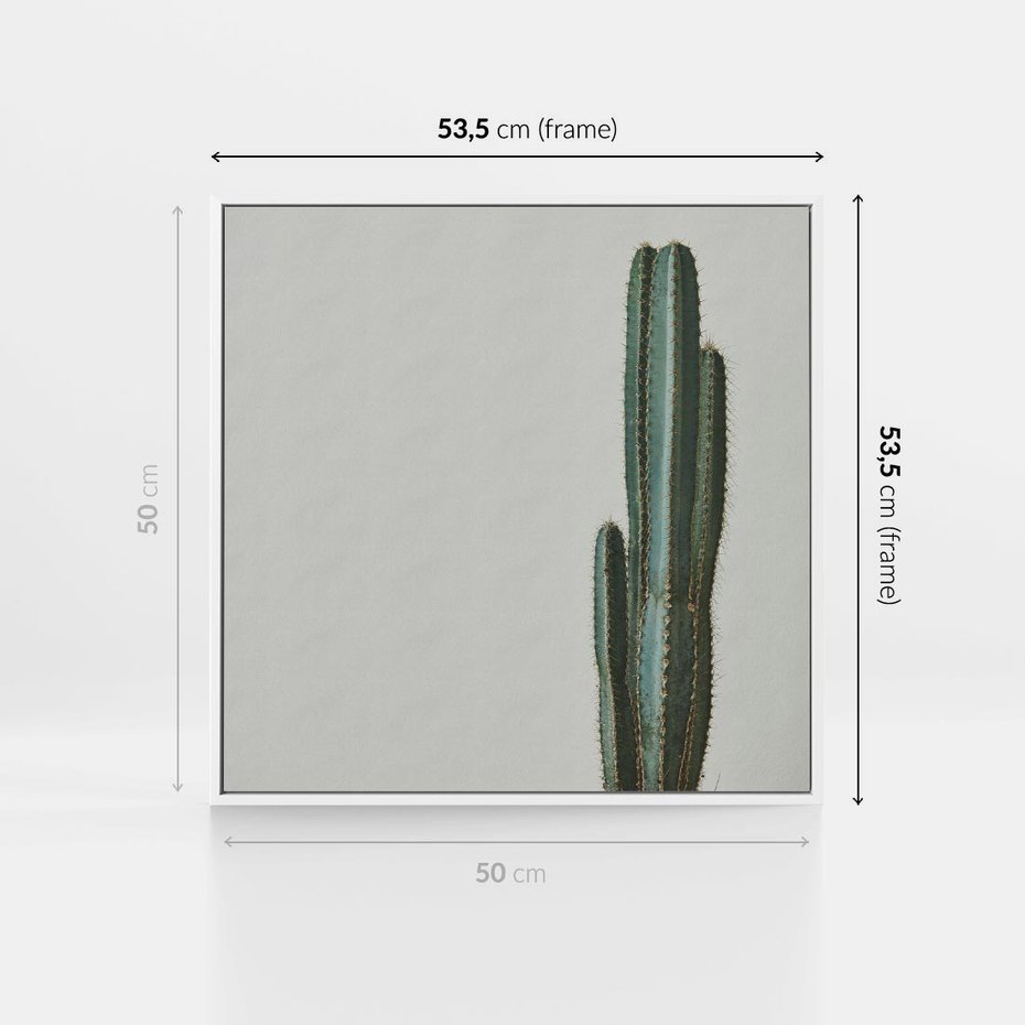 Obraz w ramie 50x50 - Zieleń i Subtelność - kaktusy, liście - rama biała