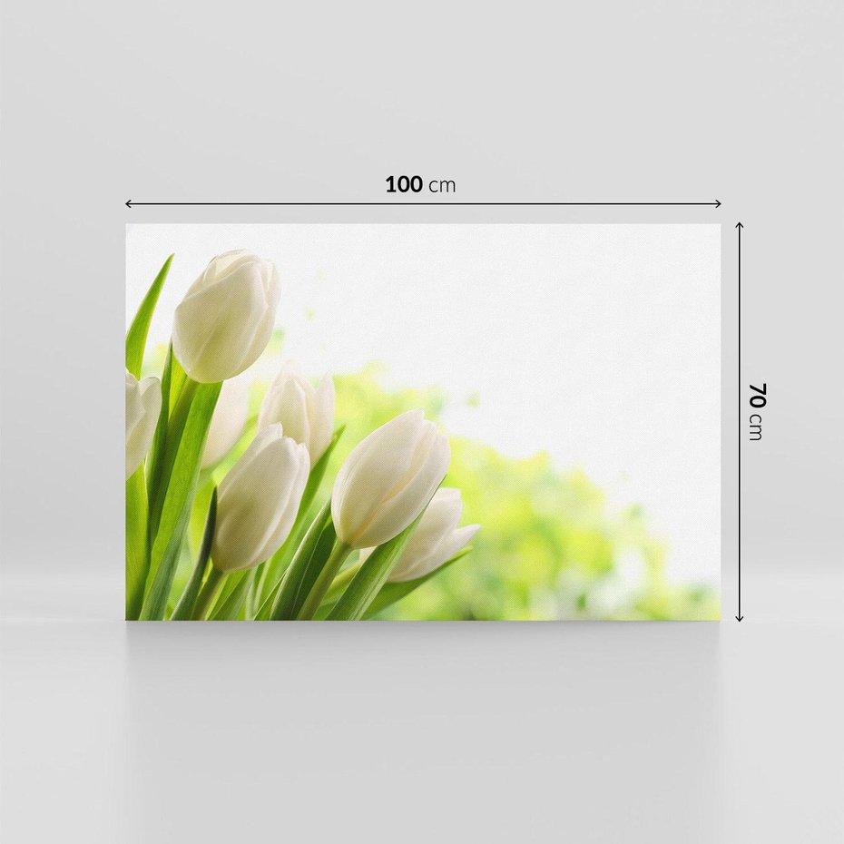 Obraz na płótnie 100x70 - delikatność kwiatów - tulipany, kwiat
