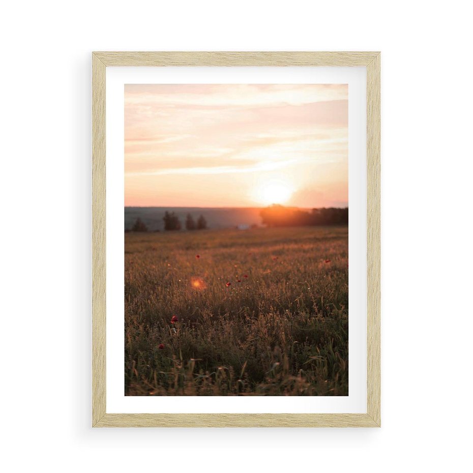 Plakat w ramie 50x70 - Łąka we Wschodzącym Słońcu: Magia Poranka - łąka, krajobraz - rama drewno