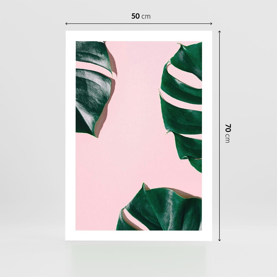 Plakat bez ramy 50x70 - Minimalizm Natury - minimalizm, liście monstery