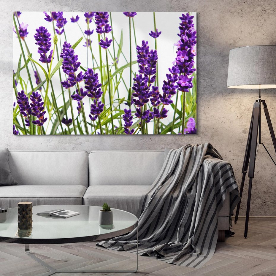 Obraz na płótnie 70x50 - Fioletowa harmonia lawendy - lawenda, fiolet