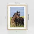 Plakat w ramie 30x40 - Siła i piękno natury - koń, łąka - rama drewno
