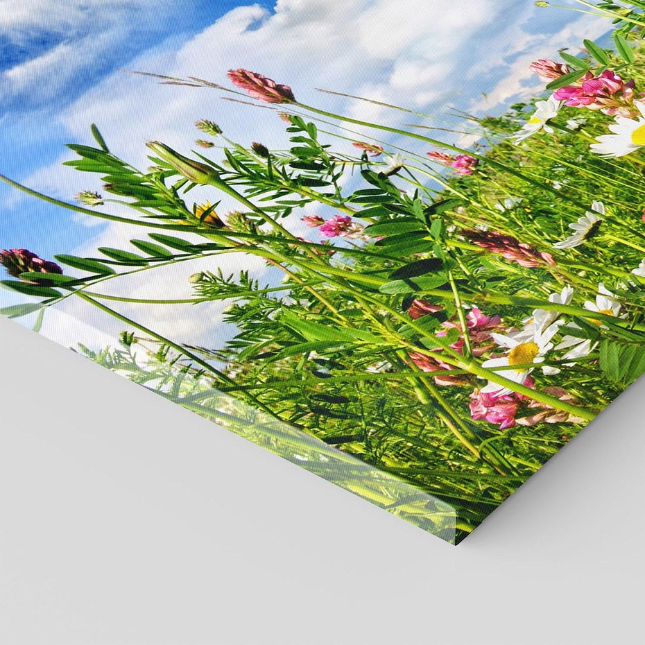 Obraz na płótnie 70x50 - Niebiańska łąka pełna kwiatów - łąka, niebo