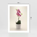 Plakat bez ramy 30x40 - Delikatność storczyka orchidei - storczyk, orchidea