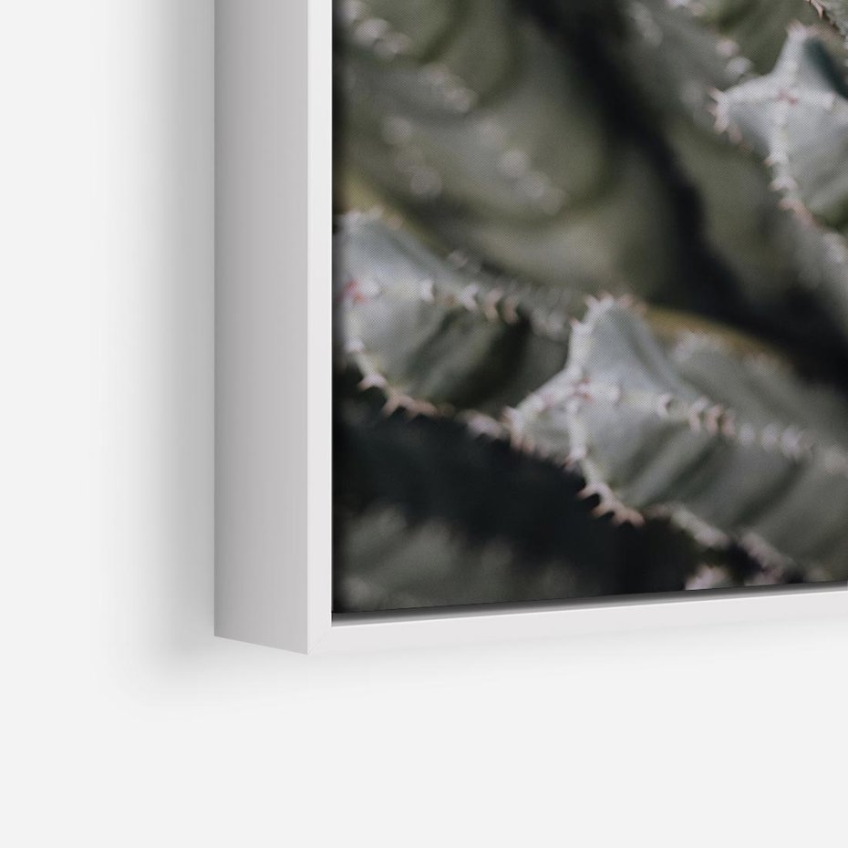 Obraz w ramie 80x80 - Boho kaktusy na pustyni - kaktusy, pustynia - rama biała