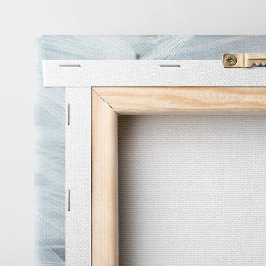 Obraz na płótnie 30x30 - Makro świat dmuchawca - dmuchawiec, makro