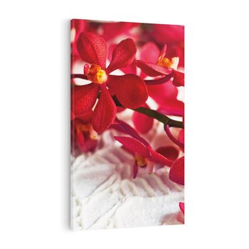 Obraz na płótnie 50x70 - Delikatność Kwiatowej Elegancji - orchidea, kwiat