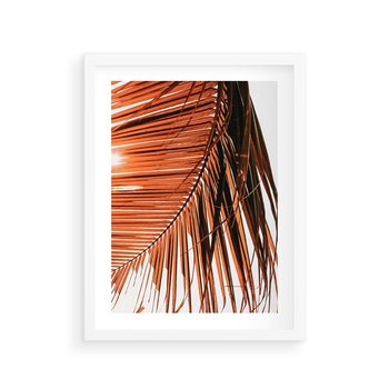 Plakat w ramie 40x50 - Słońce na Palmie - palma, promienie słońca - rama biała